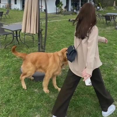 学宫春色